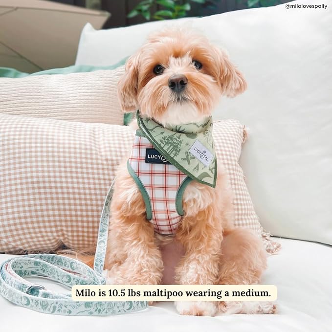 Lucy & Co. Reversible Dog Harness - Water-Repellent Neoprene, Dual-Print Design, Easy Swap Style, Adjustable Comfort Fit - Camp Out Reversible Harness - Small