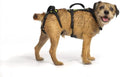Help 'Em Up® - Dog Lift Harness│ Adjustable Lifting Harness for Dogs │ Full Body Support, Rear Leg Support (Conventional, Small, 25-45 lbs)