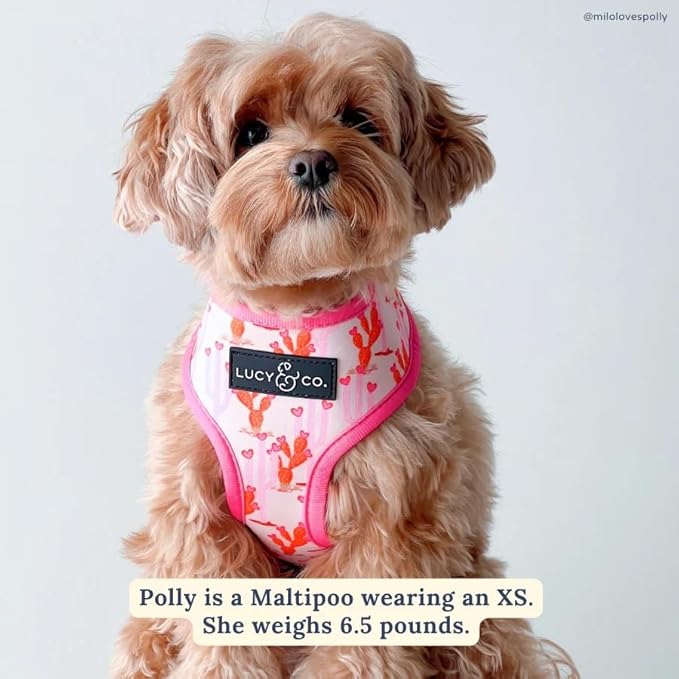 Lucy & Co. Reversible Dog Harness - Water-Repellent Neoprene, Dual-Print Design, Easy Swap Style, Adjustable Comfort Fit - Howdy Honey Reversible Harness - Large
