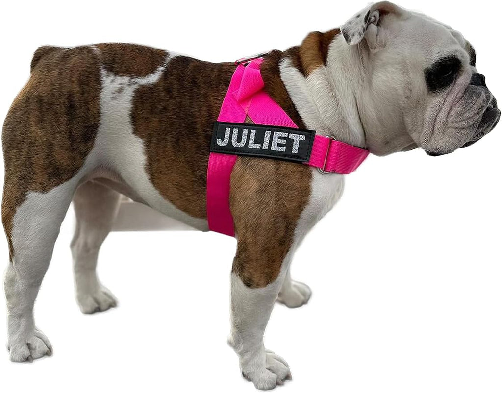 Adjustable Dog Harness– No Pull, No Choke – for English Bulldogs, French Bulldogs, Pugs & Broad-Chested Breeds – Easy, Safe Walks (NEON Pink, Medium)