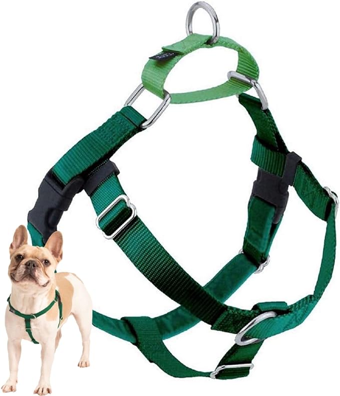 2 Hounds Design Freedom No Pull Dog Harness, 5/8 inch MD, Kelly Green | Discourages Pulling, Comfortable Control Adjustable Dog Harness for Medium Sized Dogs, Made in USA (Leash Not Included)
