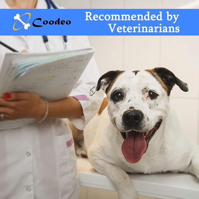 Coodeo Dog Lift Harness, Pet Support & Rehabilitation Sling Lift Adjustable Padded Breathable Straps for Old, Disabled, Joint Injuries, Arthritis, Loss of Stability Dogs Walk (Blue, 2XL)