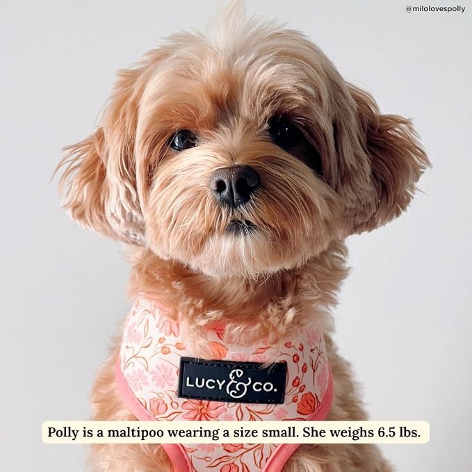Lucy & Co. Reversible Dog Harness - Water-Repellent Neoprene, Dual-Print Design, Easy Swap Style, Adjustable Comfort Fit - Woodland Wildflowers Reversible Harness - X-Large