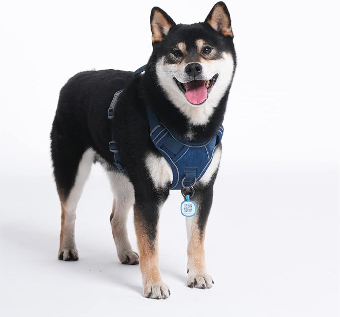 Pawaii No Pull Dog Harness with Pet ID Tag, Reflective Vest | Built for safer walks with a QR Pet ID Tag, front no pull clip, reflective trim, control handle and breathable mesh lining