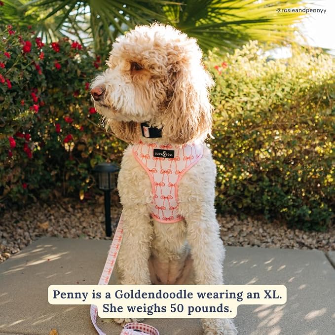Lucy & Co. Reversible Dog Harness - Water-Repellent Neoprene, Dual-Print Design, Easy Swap Style, Adjustable Comfort Fit - Take a Bow Reversible Harness - Medium