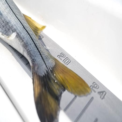 SeaDek 36" Fish Ruler - Storm Grey w/SeaDek Logo [22135-80038]