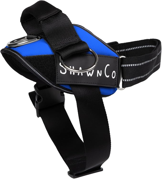 ShawnCo Essential Pro Dog Harness, No-Pull Pet Vest with 3 Leash Clips and Removable, Reflective Side Patches, Adjustable and Padded Harness for Small, Medium and Large Dogs (Electric Blue, S)