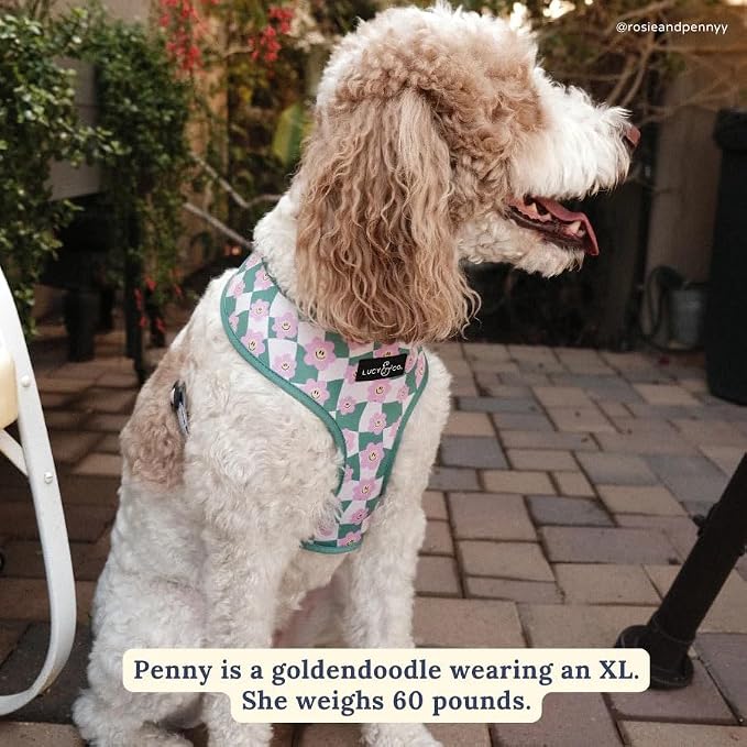 Lucy & Co. Reversible Dog Harness - Water-Repellent Neoprene, Dual-Print Design, Easy Swap Style, Adjustable Comfort Fit - Just Chill Reversible Harness - Small