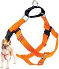 2 Hounds Design Freedom No Pull Dog Harness, 5/8 inch MD, Neon Orange | Discourages Pulling, Comfortable Control Adjustable Dog Harness for Medium Sized Dogs, Made in USA (Leash Not Included)