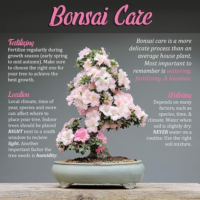 BambooMN Bonsai 3 Piece Trunk and Root Set - 10 Sets