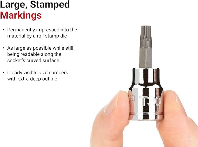 TEKTON Torx Bit Socket Set, 12-Piece | SHB91103 | 3/8 Inch Drive, (T10 - T60), Socket Rail