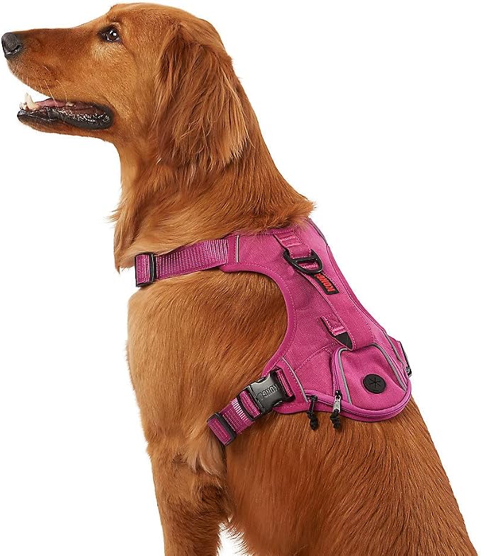 KONG Ultra Durable Waste Bag Harness (Large, Pink)