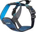 CarSafe Crash Tested Dog Safety Harness | Size L | Crash Tested to 32Kg/70lbs, Safely Secure Dog in the Car, Comfortable and Padded Design, for Toy, Small, Medium & Large Dogs