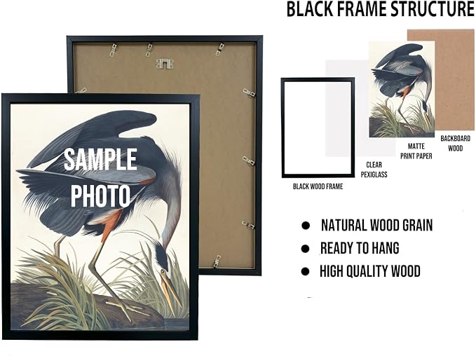 Malibu Beach California Wall Art Print Poster, US Vintage Retro Beach Scenery Posters Prints for Restroom Home Picture Painting Artwork Gallery 219 (Malibu Beach California, 16 x 20 inches, Black Frame)