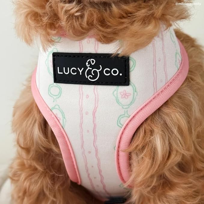 Lucy & Co. Reversible Dog Harness - Water-Repellent Neoprene, Dual-Print Design, Easy Swap Style, Adjustable Comfort Fit - Sipping Slowly Reversible Harness - Large