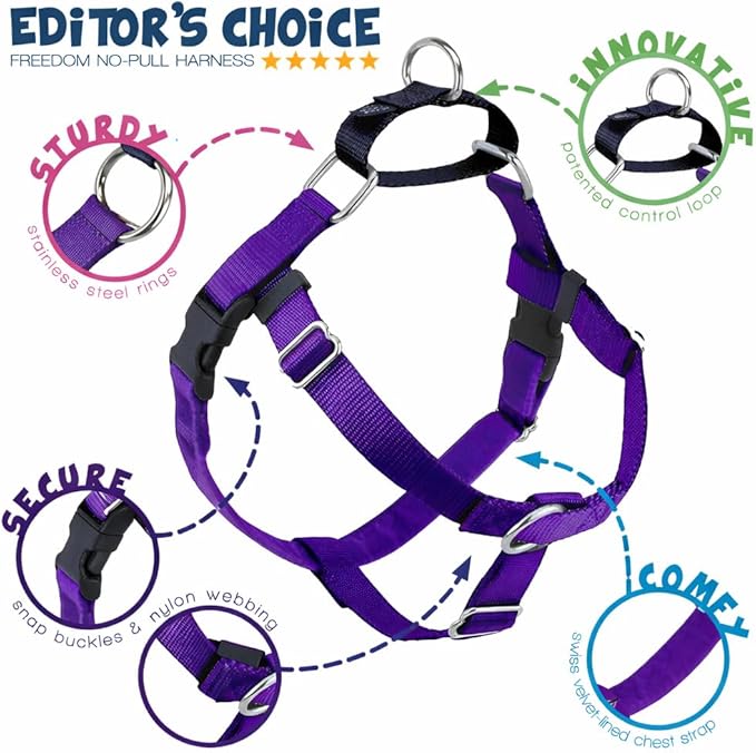 2 Hounds Design Freedom No Pull Dog Harness and Leash, 1" MD, Purple | Promotes Easy Walking & Comfortable Control, Secure Fit, Adjustable Harness and Leash Set for Medium Sized Dogs, Made in USA