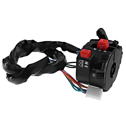 Hoypeyfiy Complete Electric Wiring Harness Wire Magneto Stator for GY6 150cc Performance Parts 4-Stroke Engine 125cc 150cc Pit Bike Scooter ATV Quad