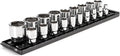 TEKTON 1/2 Inch Drive 6-Point Socket Set, 19-Piece | SHD92122 | (3/8 - 1-1/2 in.), Shallow, Socket Rail