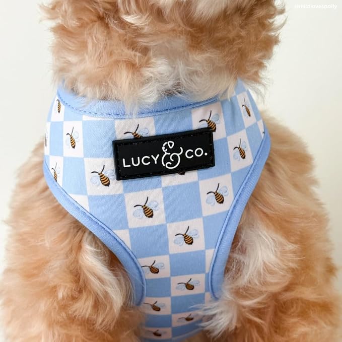 Lucy & Co. Reversible Dog Harness - Water-Repellent Neoprene, Dual-Print Design, Easy Swap Style, Adjustable Comfort Fit - Bumbling Around Reversible Harness - Large