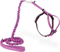 PetSafe Come with Me Kitty Harness and Bungee Cat Leash, Dusty Rose, Medium | Adjustable 2-Point Fit Applies Gentle Pressure to Shoulders, Not Neck, for Small & Average Cats with 10.5 in - 14 in Girth