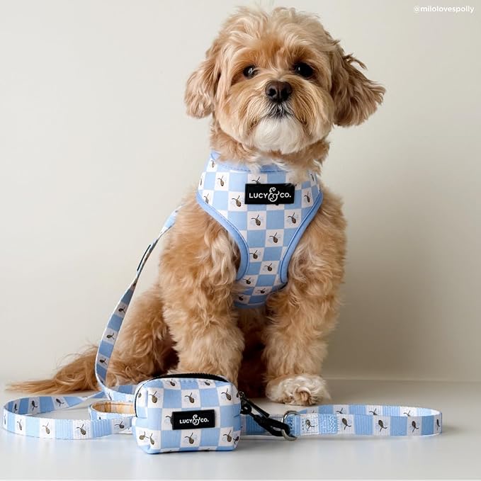 Lucy & Co. Reversible Dog Harness - Water-Repellent Neoprene, Dual-Print Design, Easy Swap Style, Adjustable Comfort Fit - Bumbling Around Reversible Harness - Large
