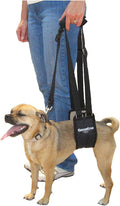Dog Rear Sling Support Harness, SM Female, Machine Wash & Dry | Fits Small to Medium Size Dogs or Larger Barrel-Chested Breeds like Boxers, Bullies. Padded, Integrated Leash. Made in U.S.A.