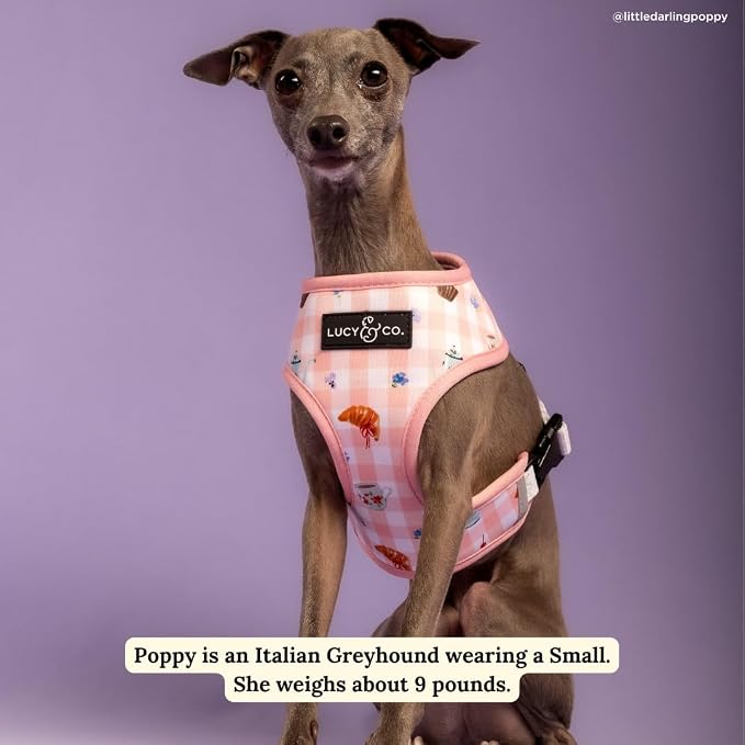 Lucy & Co. Reversible Dog Harness - Water-Repellent Neoprene, Dual-Print Design, Easy Swap Style, Adjustable Comfort Fit - Sipping Slowly Reversible Harness - Medium