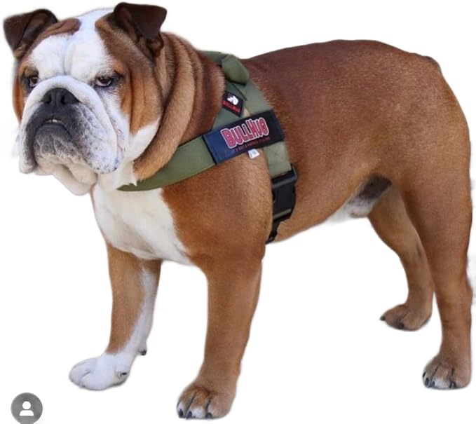 Adjustable Dog Harness– No Pull, No Choke – for English Bulldogs, French Bulldogs, Pugs & Broad-Chested Breeds – Easy, Safe Walks (Olive Green, Medium)