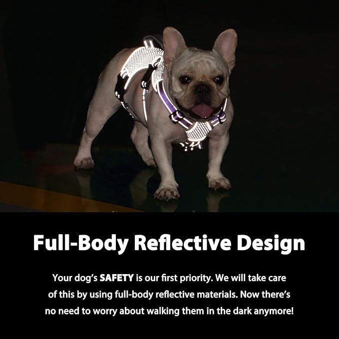 Escape Proof Dog Harness, Dachshund Harness, Reflective Dog Harness with Handle, Durable,Adjustable Vest for Small Medium Large Dogs Walking, Training, and Running Gear (Lavender Purple,S)
