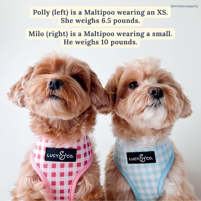 Lucy & Co. Reversible Dog Harness - Water-Repellent Neoprene, Dual-Print Design, Easy Swap Style, Adjustable Comfort Fit - Take a Bow Reversible Harness - X-Small