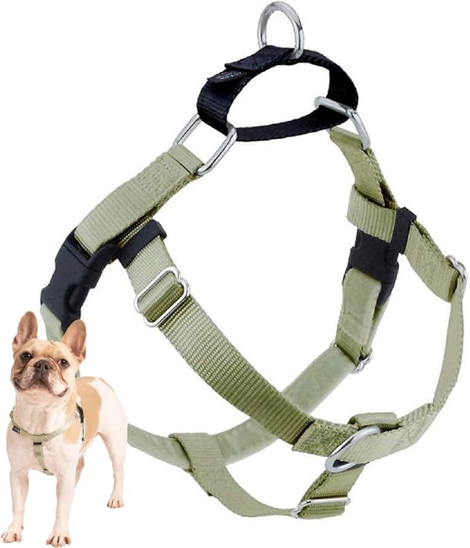 2 Hounds Design Freedom No Pull Dog Harness, 1 inch MD, Tan | Discourages Pulling, Comfortable Control Adjustable Dog Harness for Medium Sized Dogs, Made in USA (Leash Not Included)