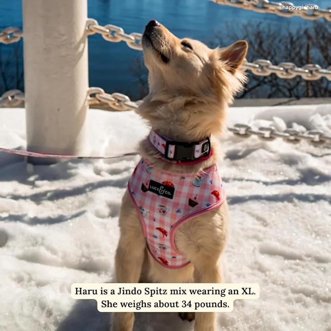 Lucy & Co. Reversible Dog Harness - Water-Repellent Neoprene, Dual-Print Design, Easy Swap Style, Adjustable Comfort Fit - Sipping Slowly Reversible Harness - Medium