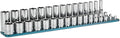 Capri Tools 3/8 in. Drive Master Chrome Socket Set, 6-Point, 8 to 22 mm, Shallow and Deep with Billet Aluminum Rail