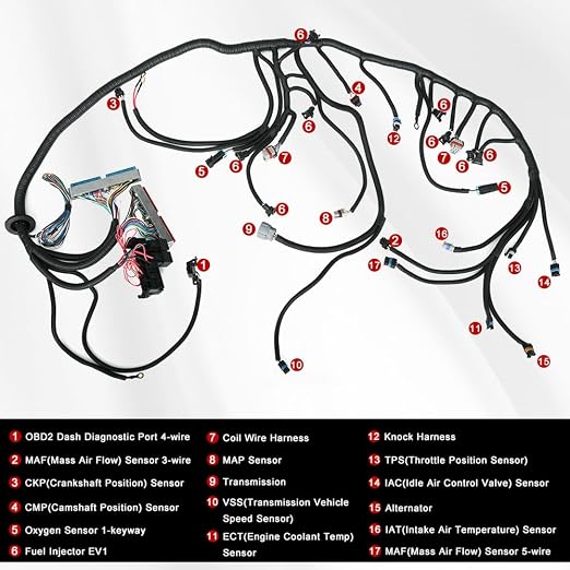 4L60E DBC LS Standalone Wiring Harness Compatible with GM LS1 1999-2006 Vortec Engines 4.8L 5.3L 6.0L Drive by Cable, with 8 Pack Fuel Injector Connector Adapter EV1 Transfer to EV6