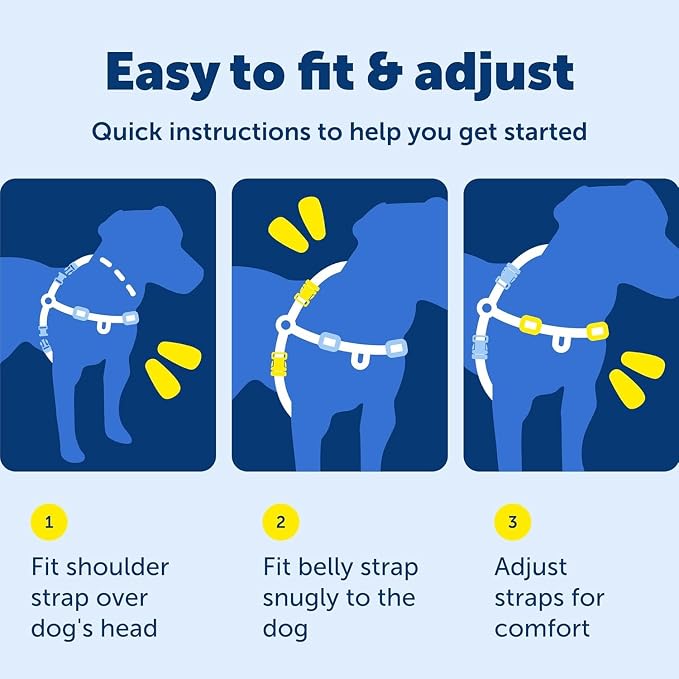 PetSafe Easy Walk Harness, No Pull Dog Harness, Medium, Raspberry | Patented Martingale Loop Gives Gradual Shoulder Pressure to Stop Pulling, Front-Chest Leash Clip Prevents Gagging