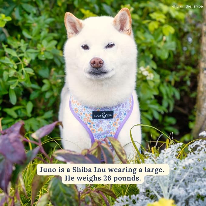 Lucy & Co. Reversible Dog Harness - Water-Repellent Neoprene, Dual-Print Design, Easy Swap Style, Adjustable Comfort Fit - Among Wildflowers Reversible Harness - X-Small
