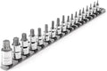 TEKTON Torx Bit Socket Set, 18-Piece | SHB99103 | 1/4, 3/8, 1/2 Inch Drive, (T6 - T80), Socket Rail