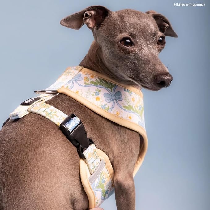 Lucy & Co. Reversible Dog Harness - Water-Repellent Neoprene, Dual-Print Design, Easy Swap Style, Adjustable Comfort Fit - Sunshine Daffodils Reversible Harness - Small