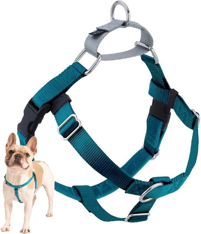 2 Hounds Design Freedom No Pull Dog Harness, 1 inch LG, Teal | Discourages Pulling, Comfortable Control Adjustable Dog Harness for Large Sized Dogs, Made in USA (Leash Not Included)
