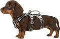 Escape Proof Dog Harness, Escape Artist Harness, Fully Reflective Harness with Padded Handle, Breathable,Durable, Adjustable Vest for Medium Dogs Walking, Training, and Running Gear (Black,XS)