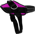 ShawnCo Essential Dog Harness, No-Pull Pet Vest (Orchid,M) | 3 Leash Clips, Easy On, No-Choke, Reflective, Adjustable Fit, Padded Comfort, Control Handle, For Small, Medium & Large Dogs
