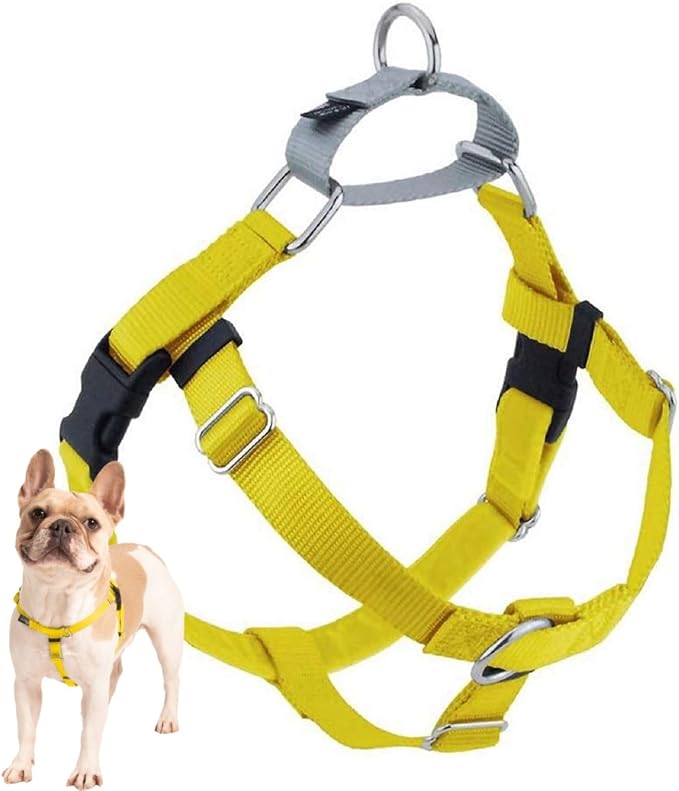 2 Hounds Design Freedom No Pull Dog Harness, 1 inch LG, Yellow | Discourages Pulling, Comfortable Control Adjustable Dog Harness for Large Sized Dogs, Made in USA (Leash Not Included)
