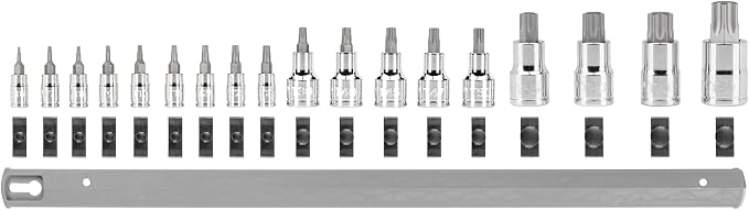 TEKTON Torx Bit Socket Set, 18-Piece | SHB99103 | 1/4, 3/8, 1/2 Inch Drive, (T6 - T80), Socket Rail