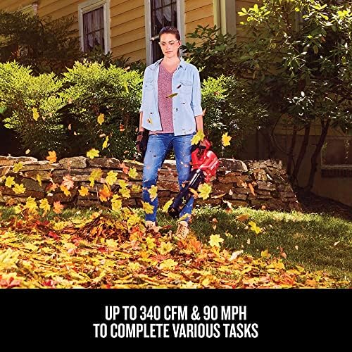 CRAFTSMAN 20V MAX WEEDWACKER String Trimmer and Leaf Blower Combo Kit, Battery and Charger Included (CMCK197M1)