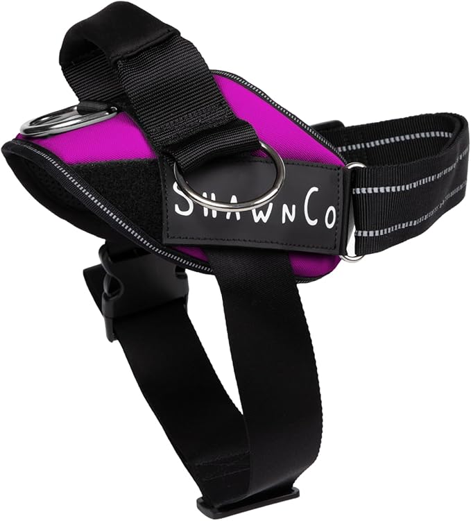 ShawnCo Essential Pro Dog Harness, No-Pull Pet Vest with 3 Leash Clips and Removable, Reflective Side Patches, Adjustable and Padded Harness for Small, Medium and Large Dogs (Orchid, XL)
