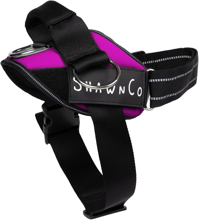 ShawnCo Essential Pro Dog Harness, No-Pull Pet Vest with 3 Leash Clips and Removable, Reflective Side Patches, Adjustable and Padded Harness for Small, Medium and Large Dogs (Orchid, M)