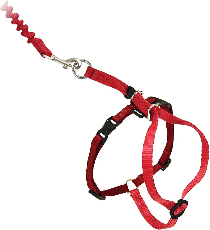 PetSafe Come With Me Kitty Harness and Bungee Leash, Harness for Cats, Large, Red/Cranberry (CWMK-L-RED) | Adjustable 2-Point Fit Applies Gentle Pressure to Shoulders, Not Neck, for Average and Large Cats with 13 in - 18 in Girth
