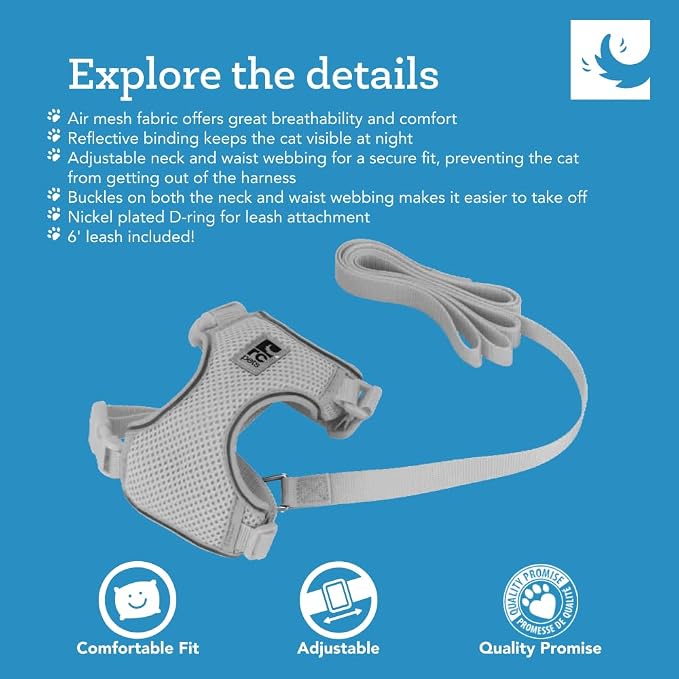 RC Pets Adventure Kitty Cat Harness | Adjustable Airmesh Vest with D-Ring and 6ft Leash for Walking and Travel | Lil Heart, Large