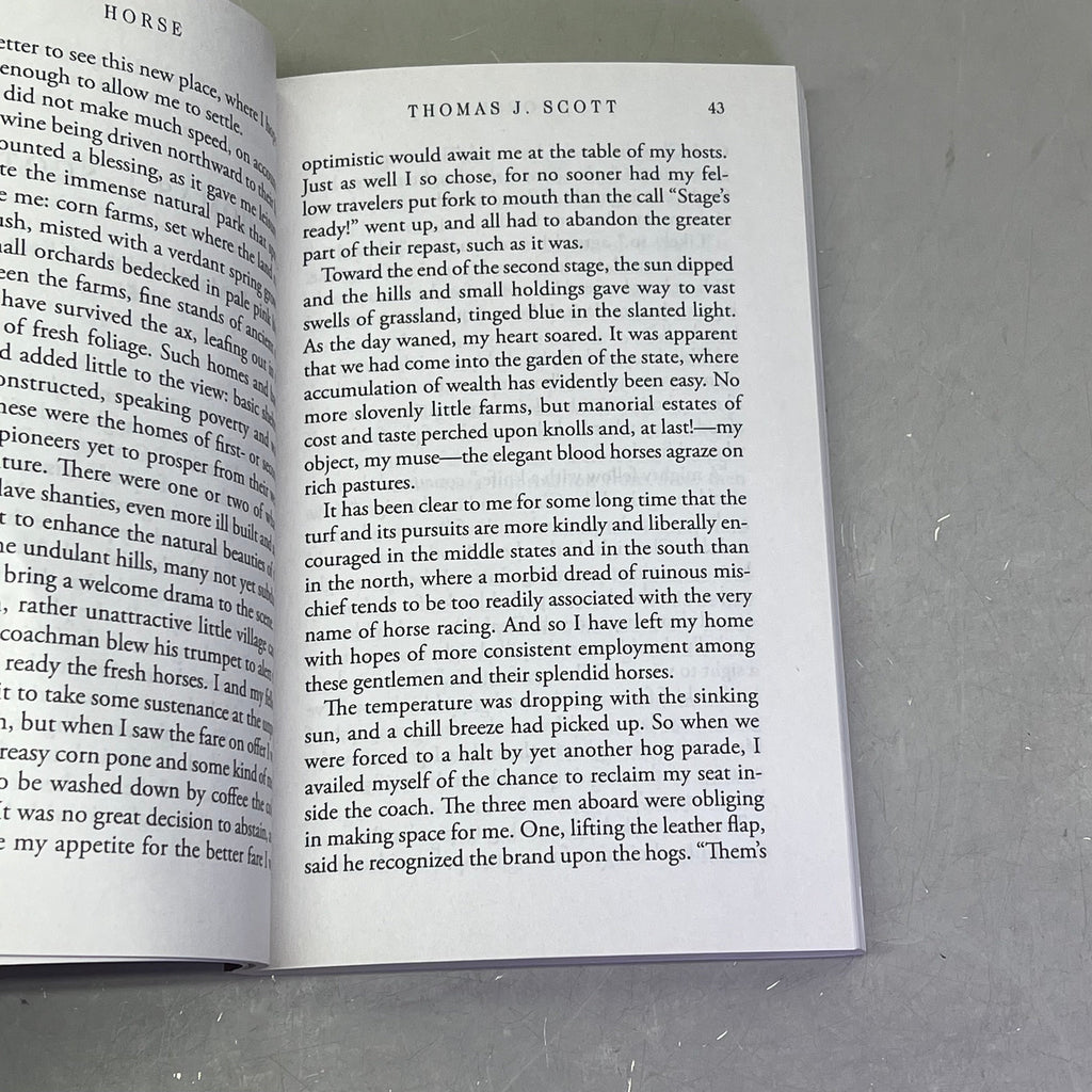 HORSE Animal Fiction Novel By Geraldine Brooks Paper Back Book Large Print