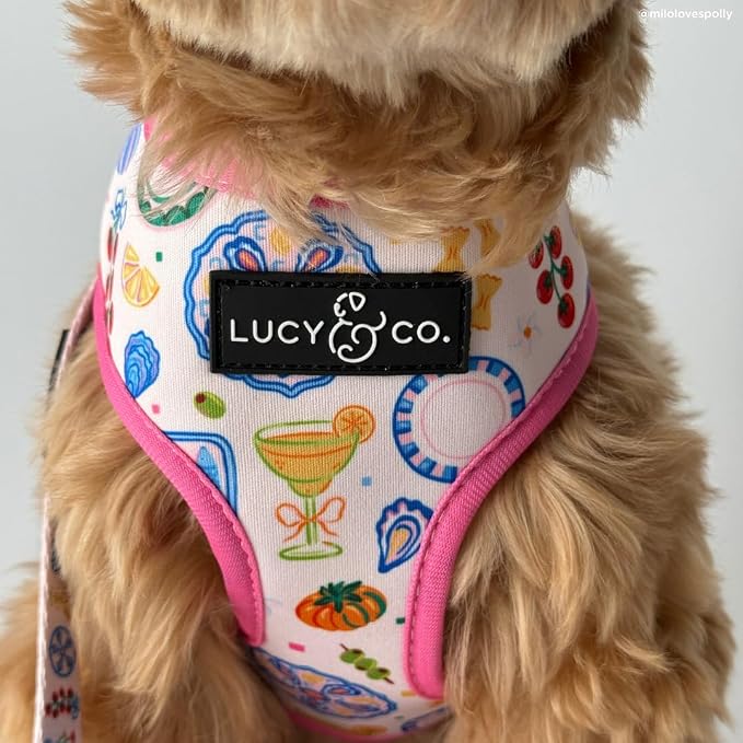Lucy & Co. Dolce Vita Reversible Dog Harness, Adjustable Comfort Fit with Dual Leash Attachments, Small